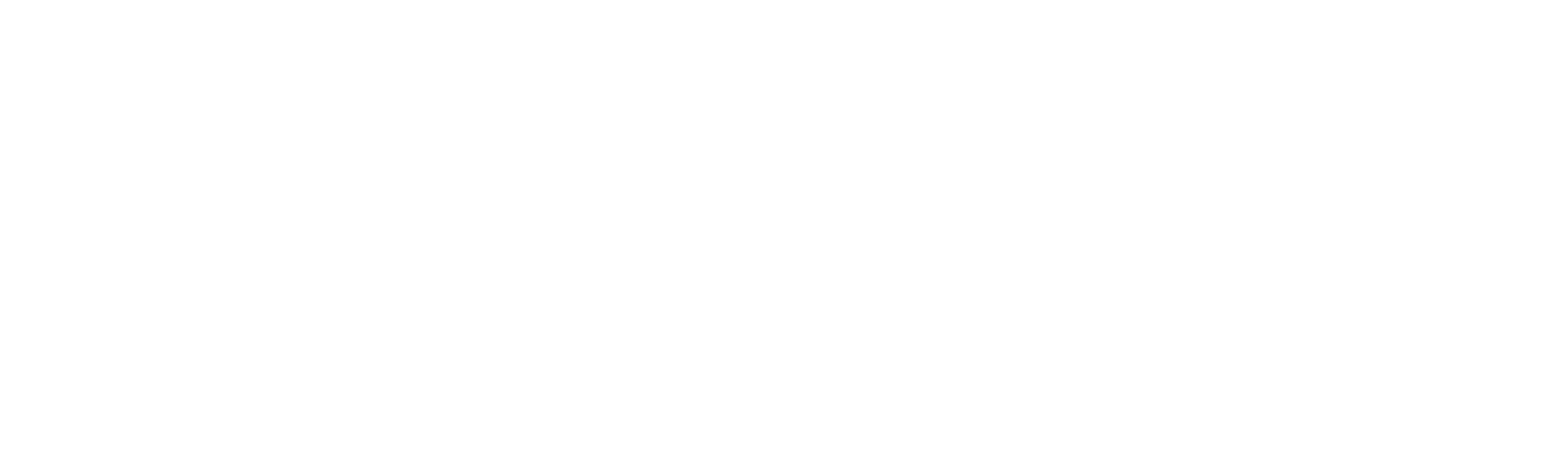 NuqtaX Logo